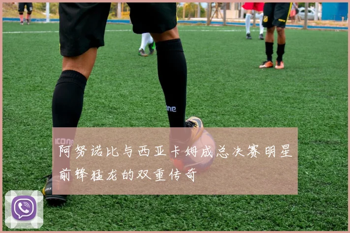 阿努诺比与西亚卡姆成总决赛明星前锋猛龙的双重传奇